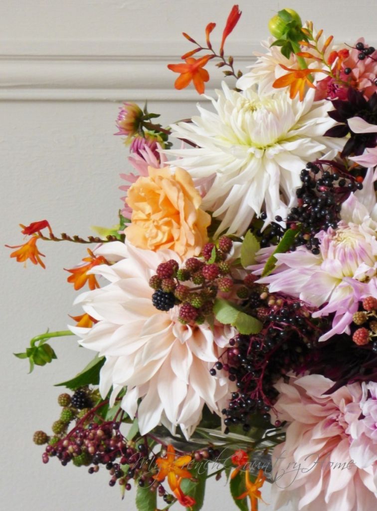dahlias and elderberries