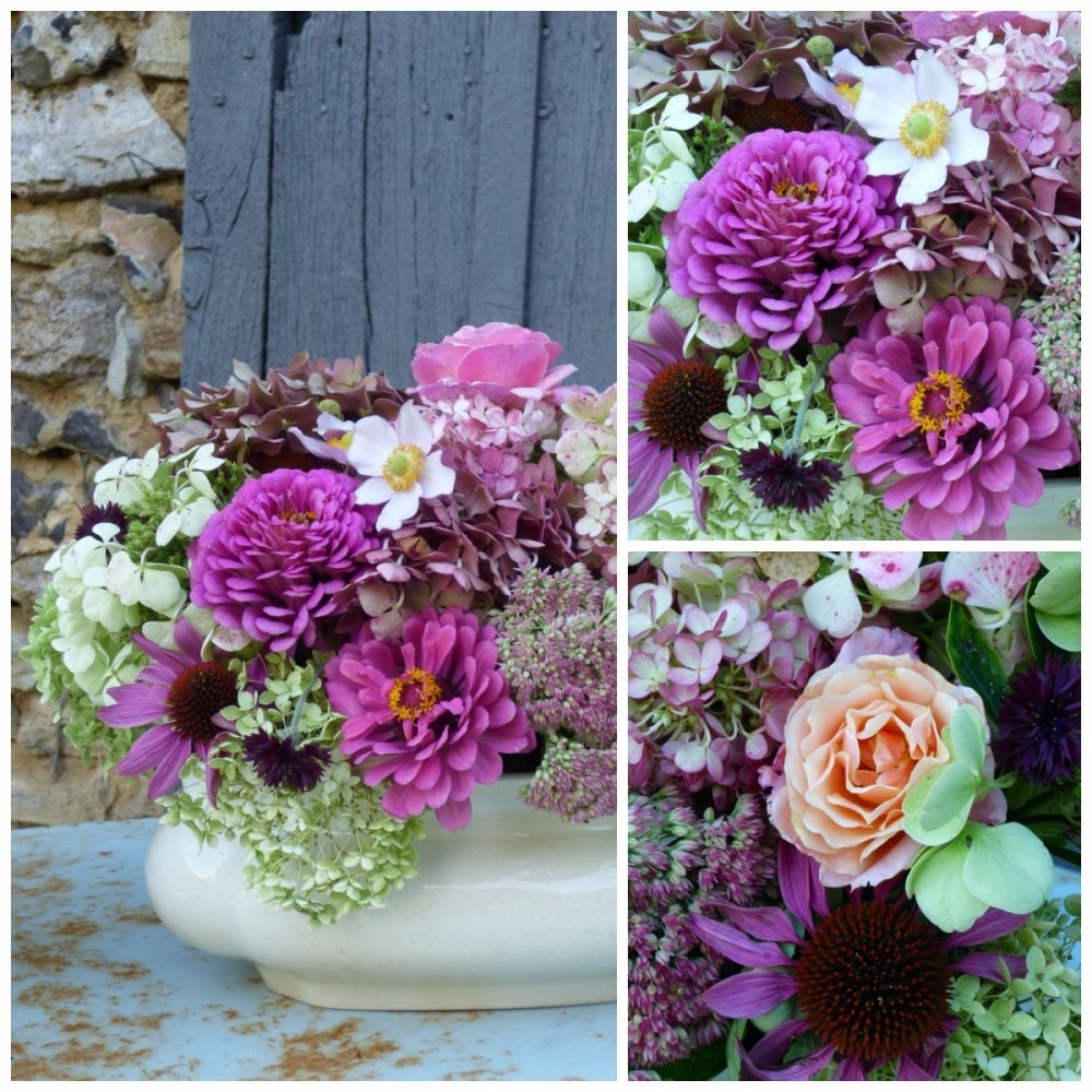 autumn flowers