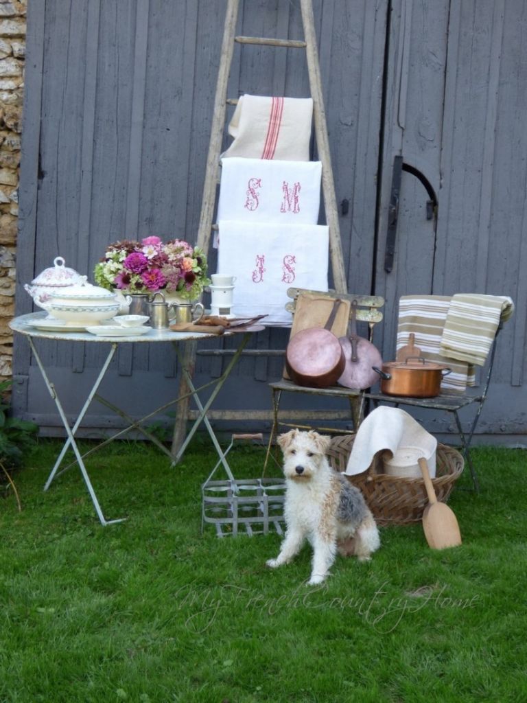 dog sitting in front of brocante purchases