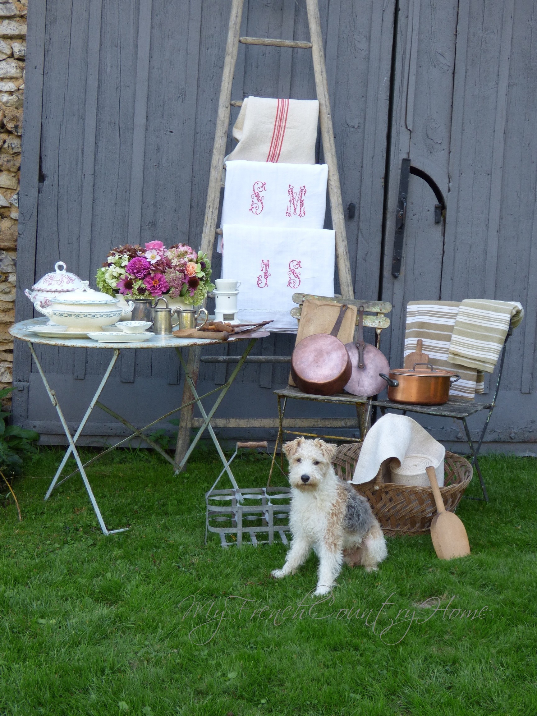 dog sitting in front of brocante purchases