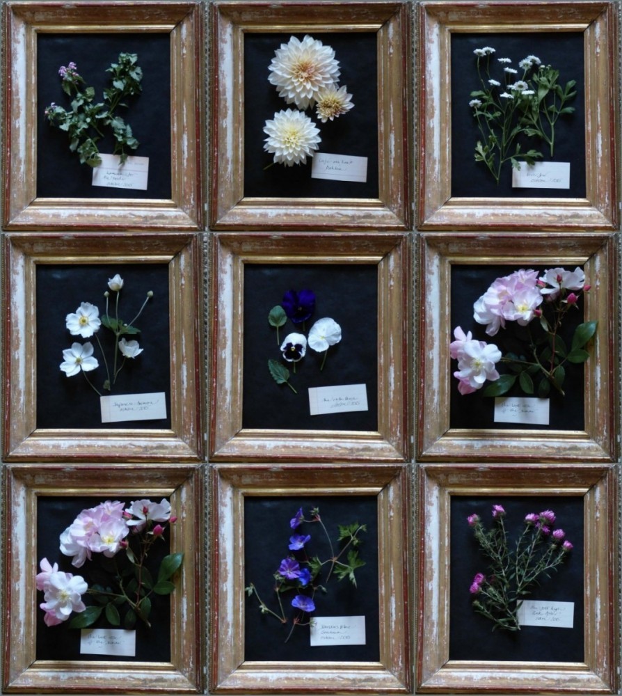 botanical print with fresh flowers