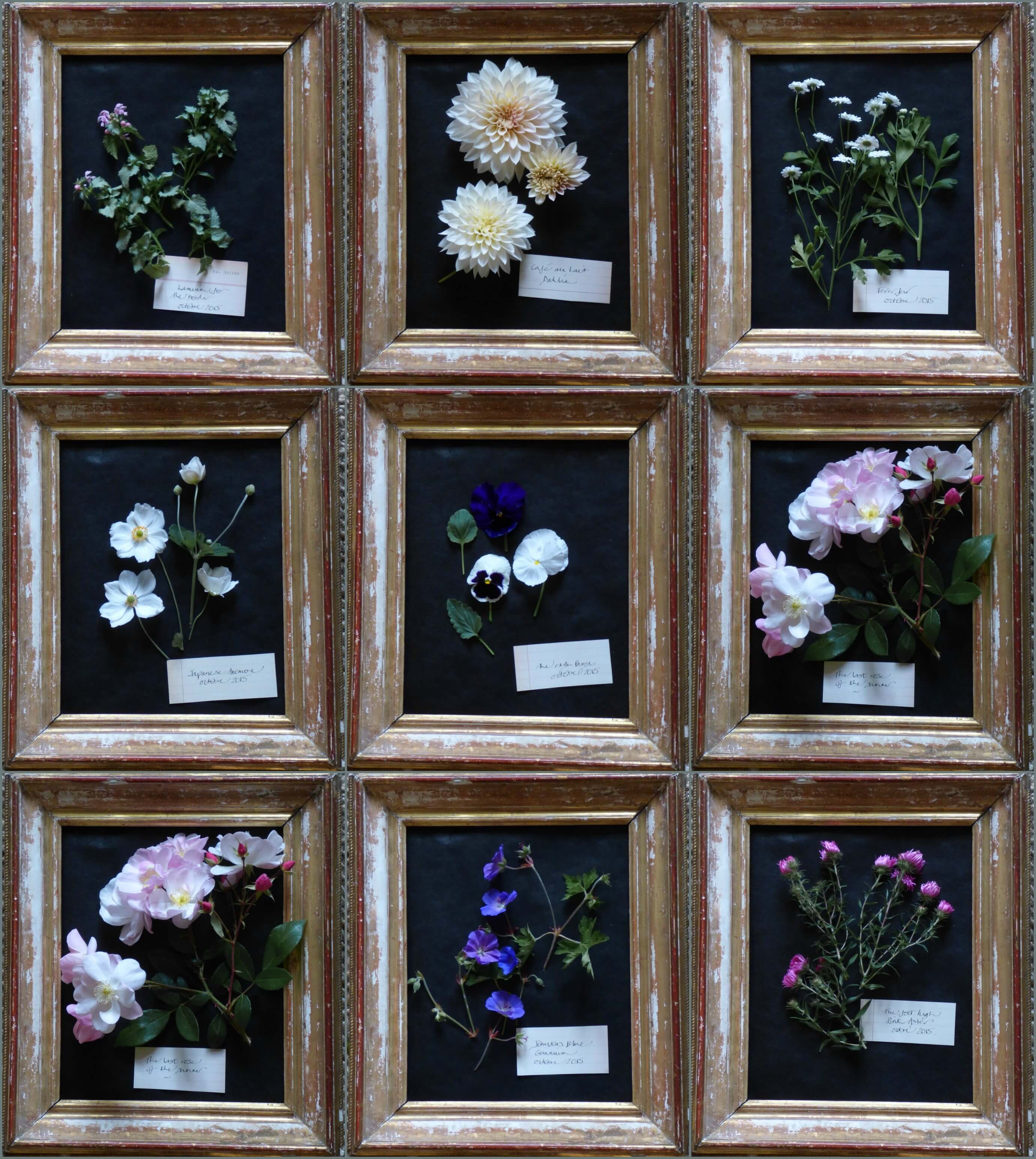 botanical print with fresh flowers