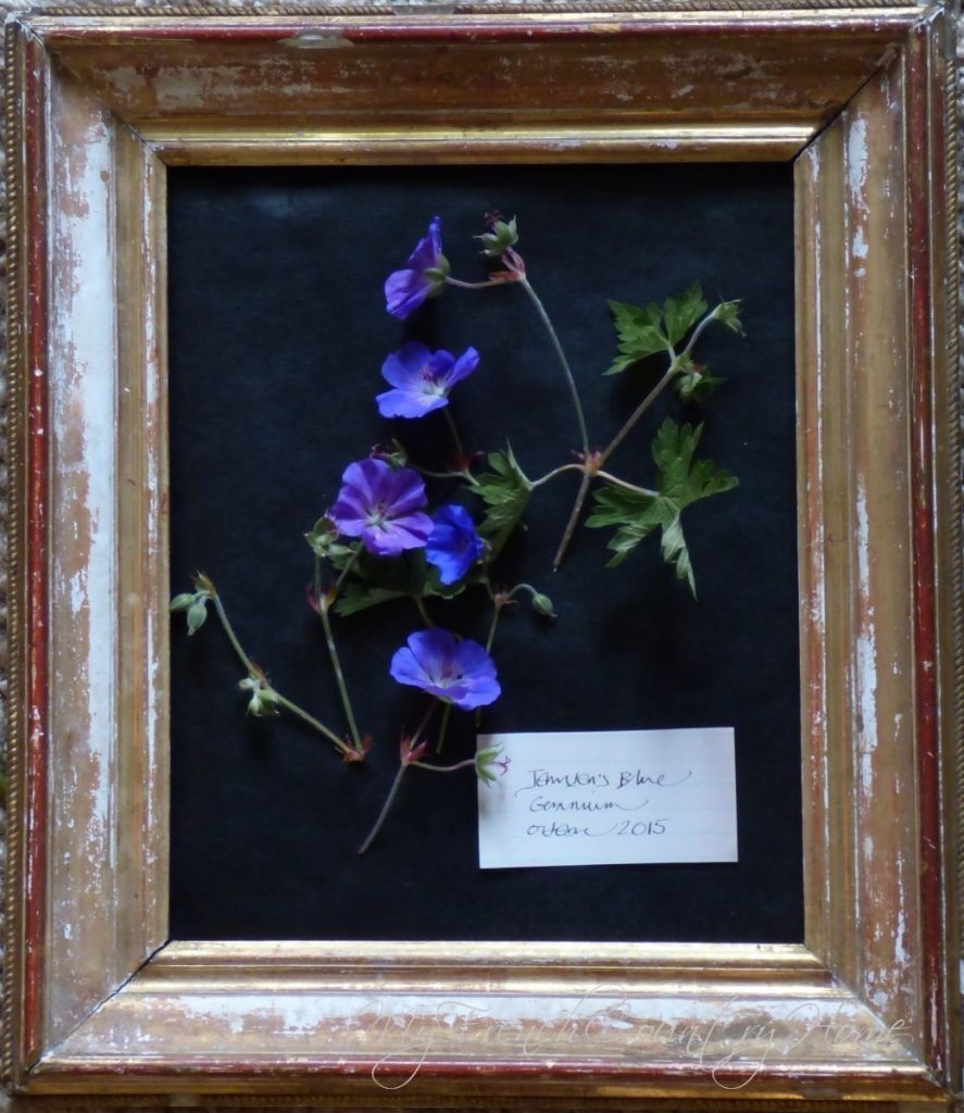 botanical print with fresh flowers