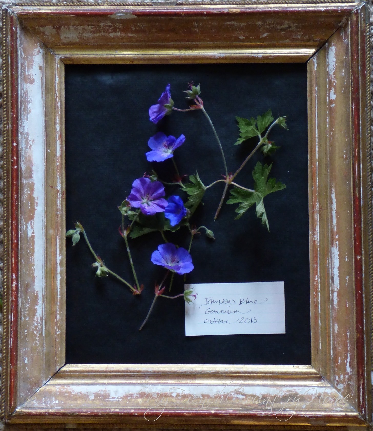 botanical print with fresh flowers