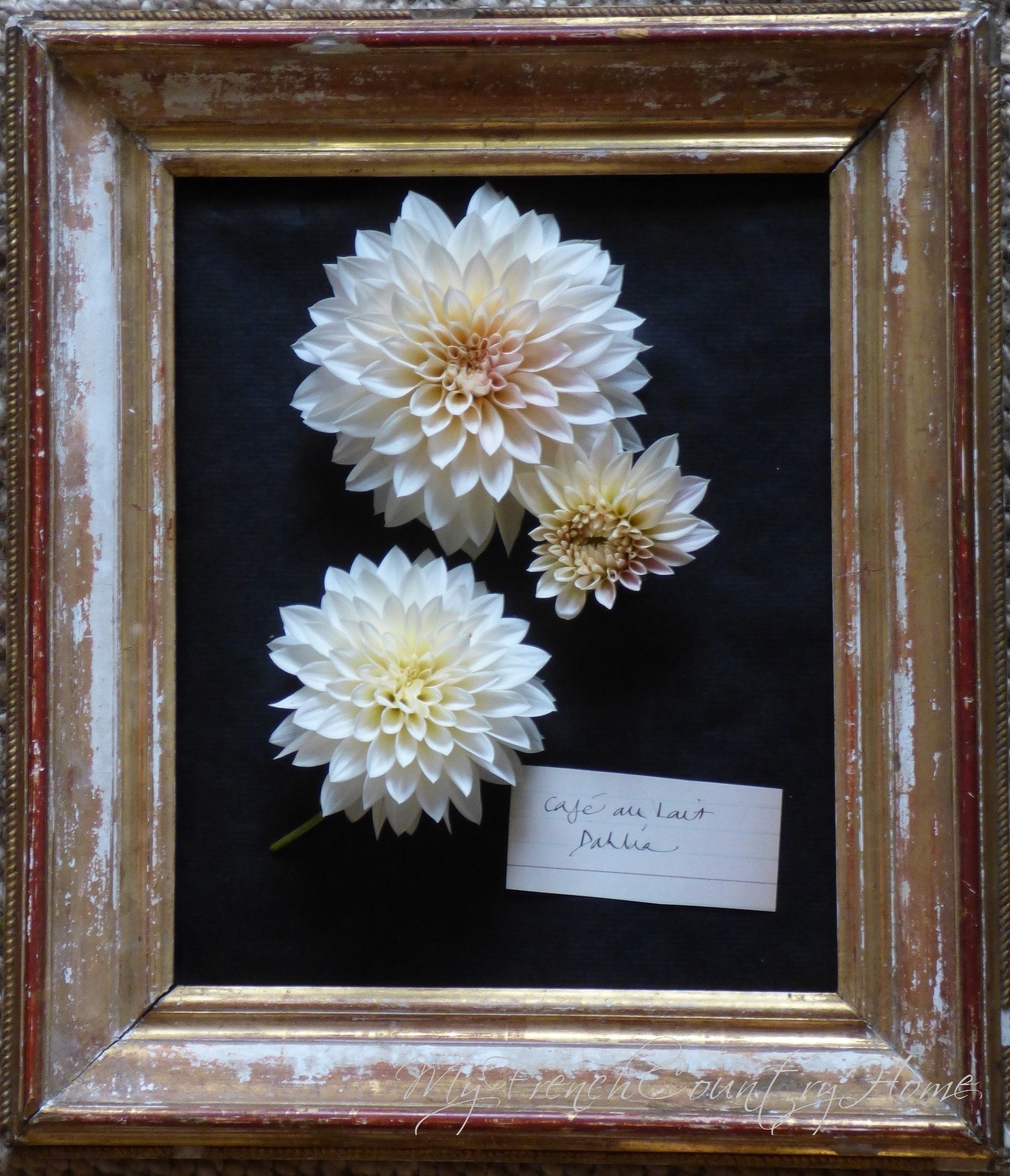 botanical print with fresh flowers