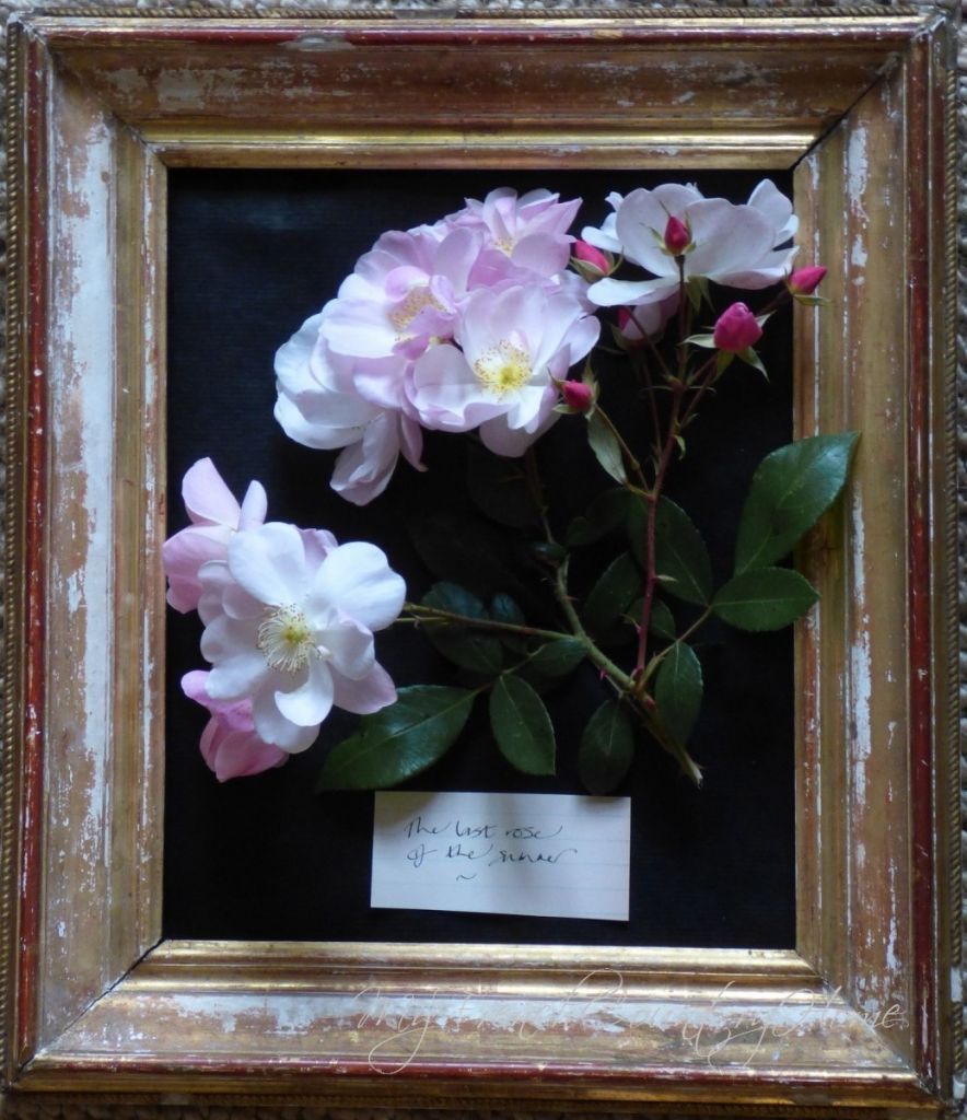 botanical print with fresh flowers