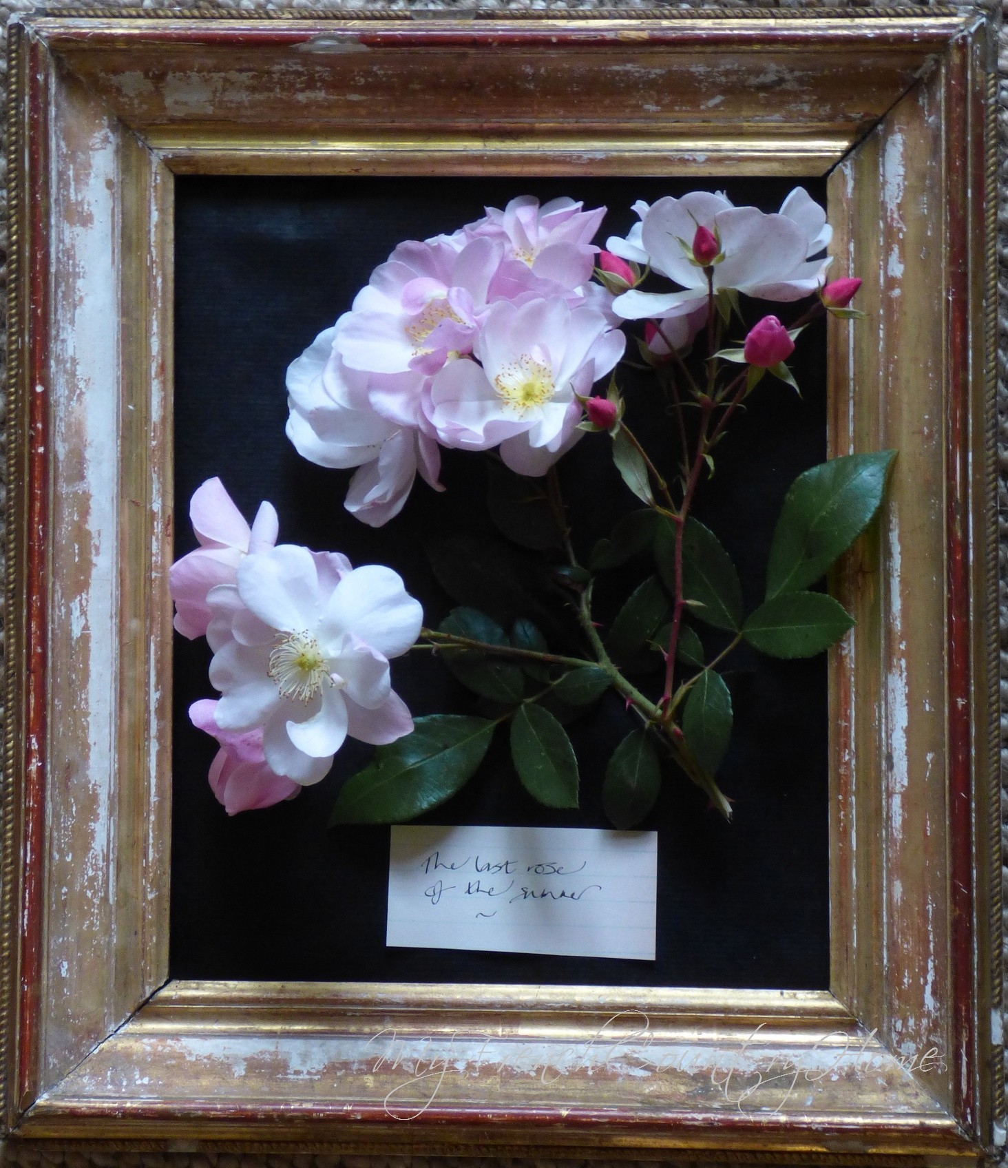 botanical print with fresh flowers