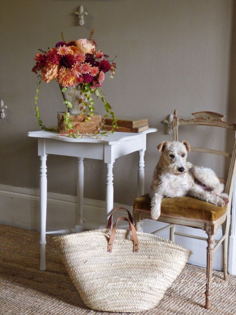 dog on chair beside fall bouquet