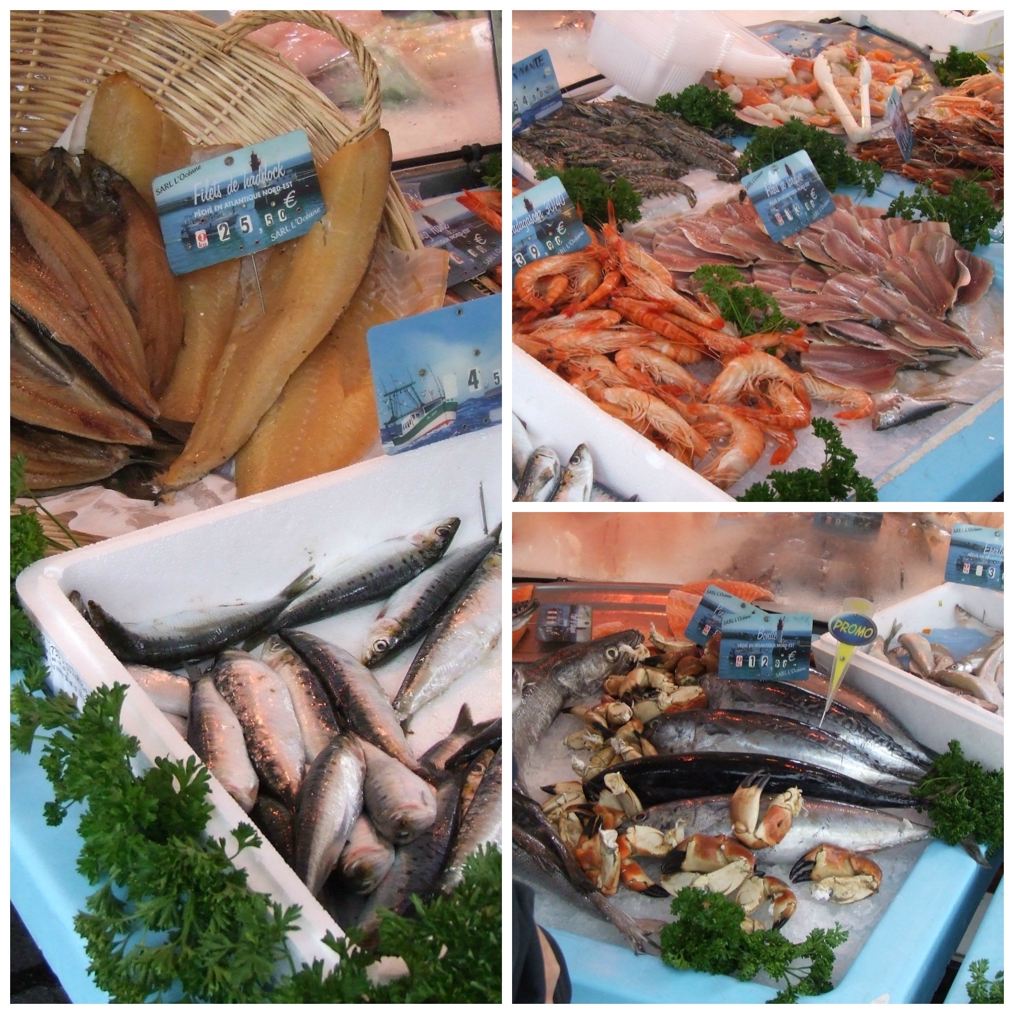 fish for sale at the market