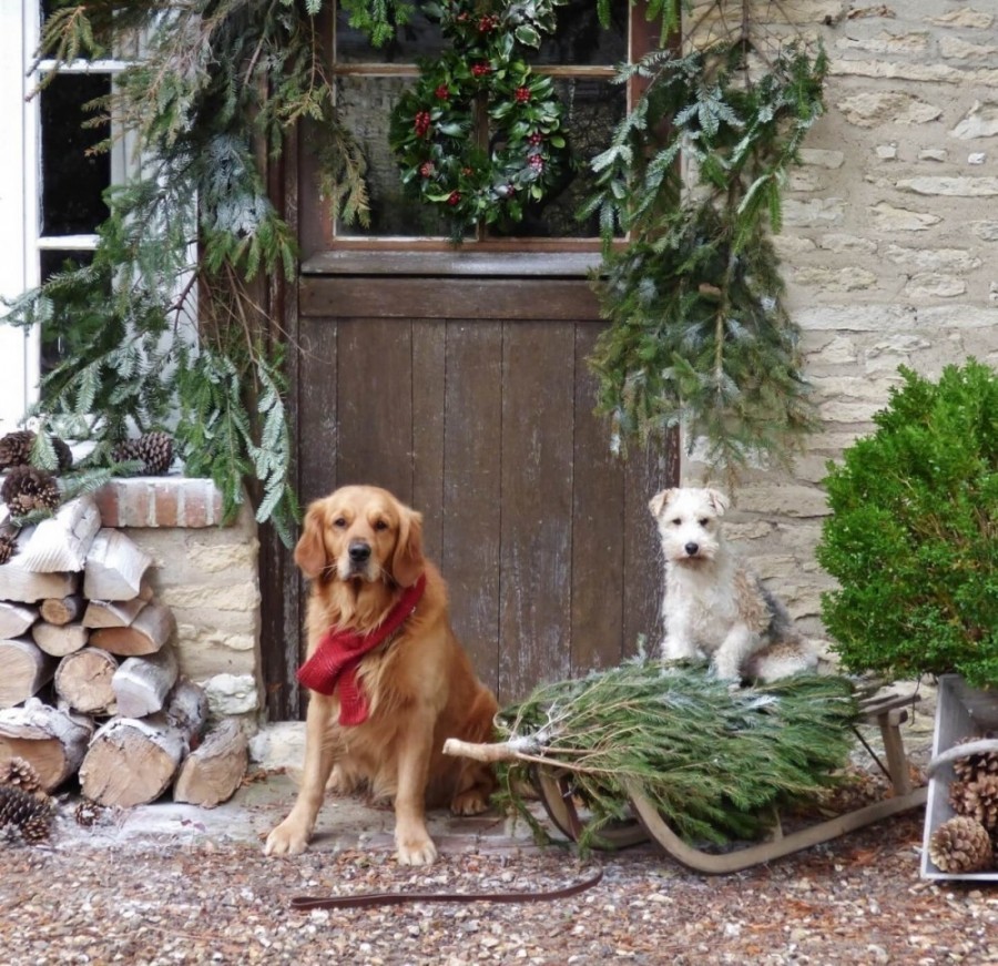 gibson and ghetto wishing happy chirstmas from normandy