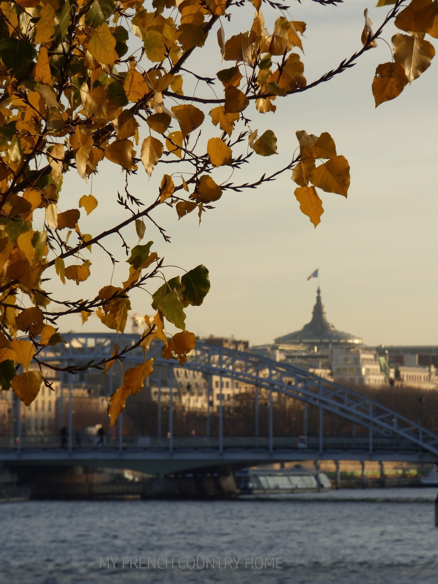 MY- french-country-home-paris-winter.2jpg