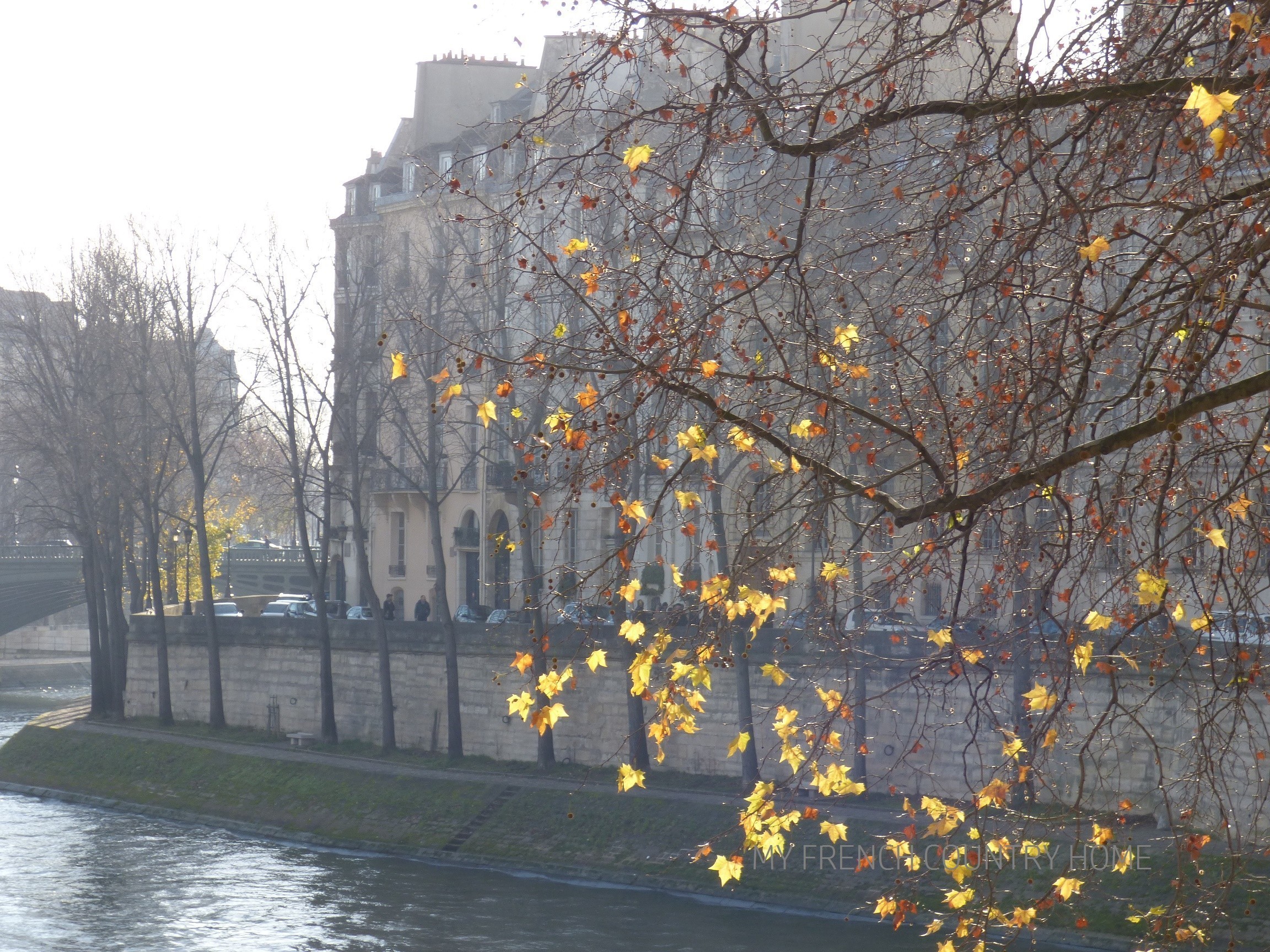 winter in paris, along the river