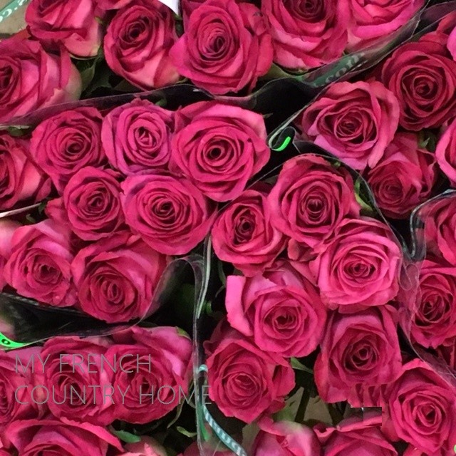 red roses for sale