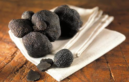 black truffles on white cloth and wood table