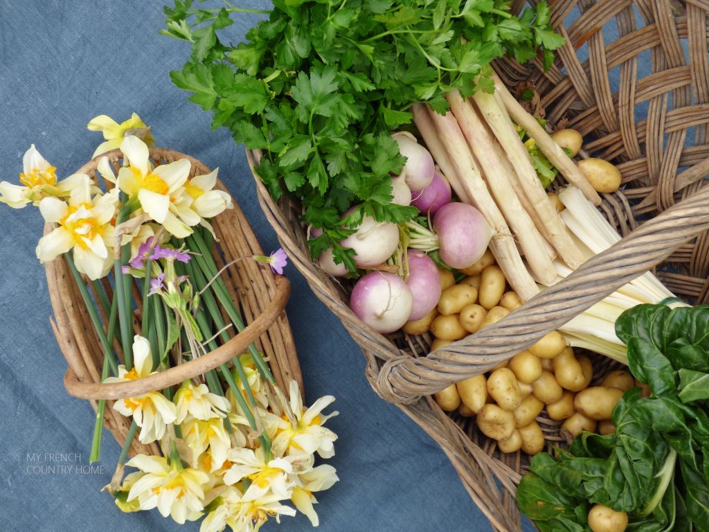 spring vegetables on blue cloth