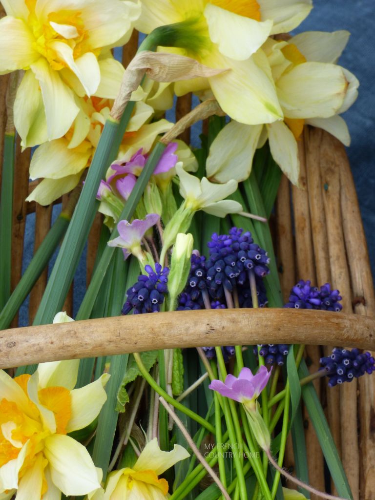 spring vegetables on blue cloth