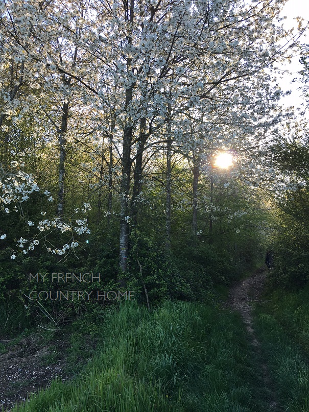 my-french-country-home-getting-lost4