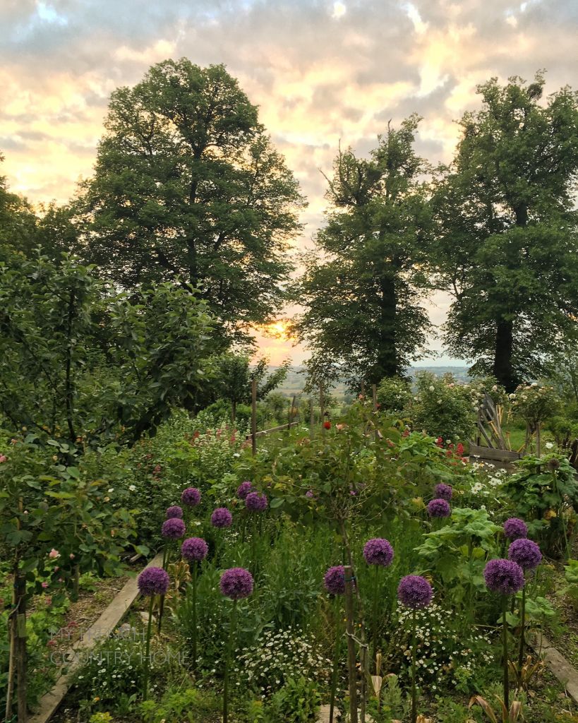SUNSET OVER GARDEN WITH A VIEW