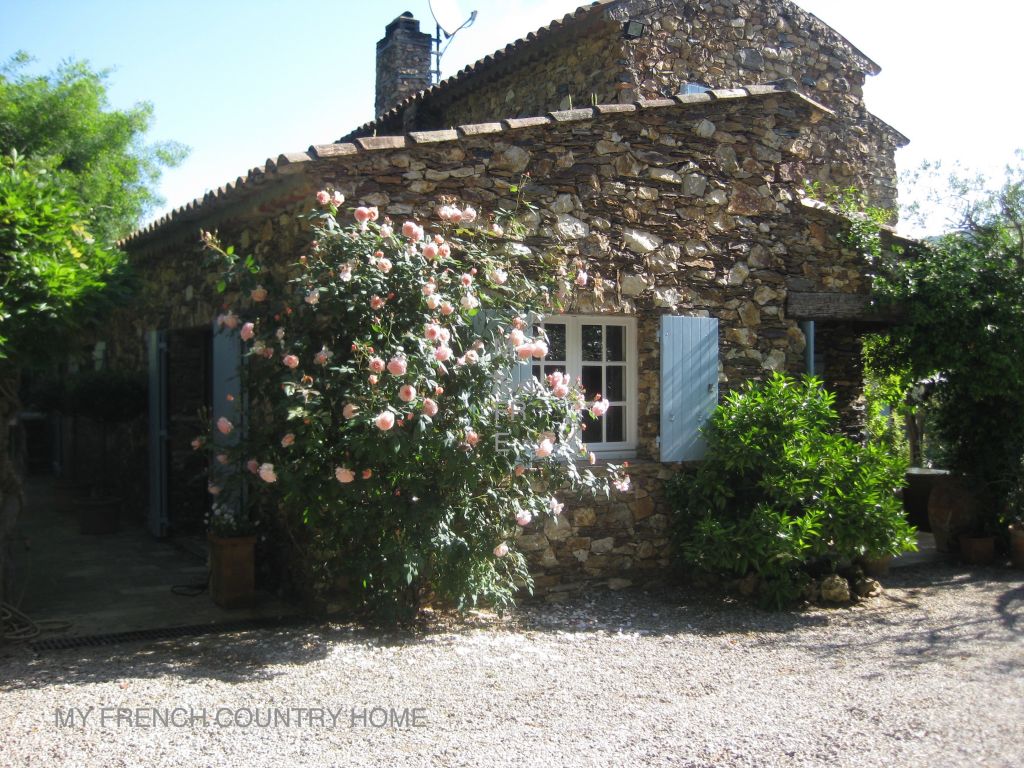 roses in bloom outside house in south of france