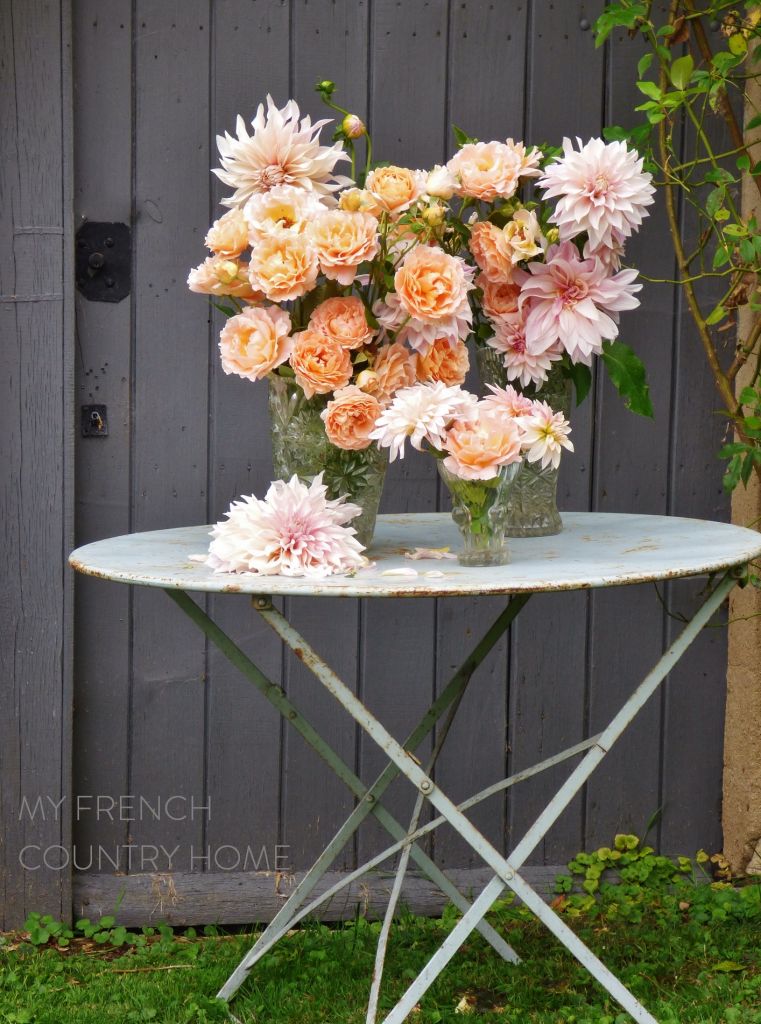 orange roses and pink dahlias in vase