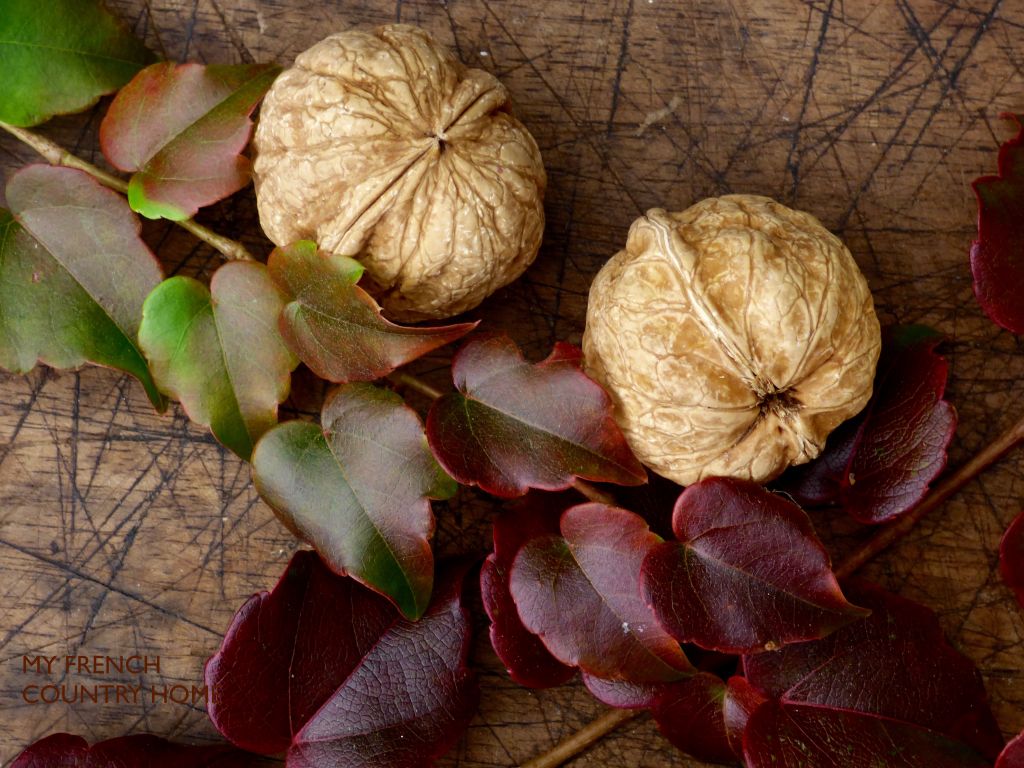 walnuts with autumn leaves