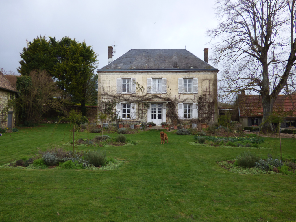 house in winter, with bare garden