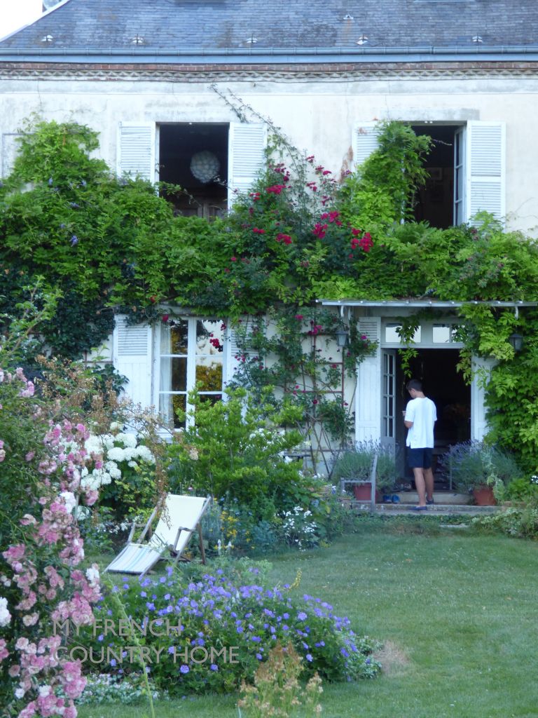 house facade with wisteria onwall