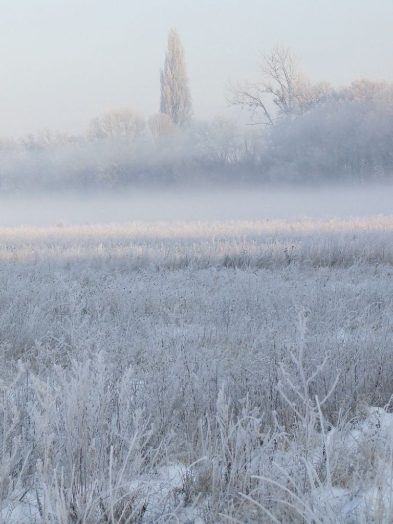 frosty morning in the valley