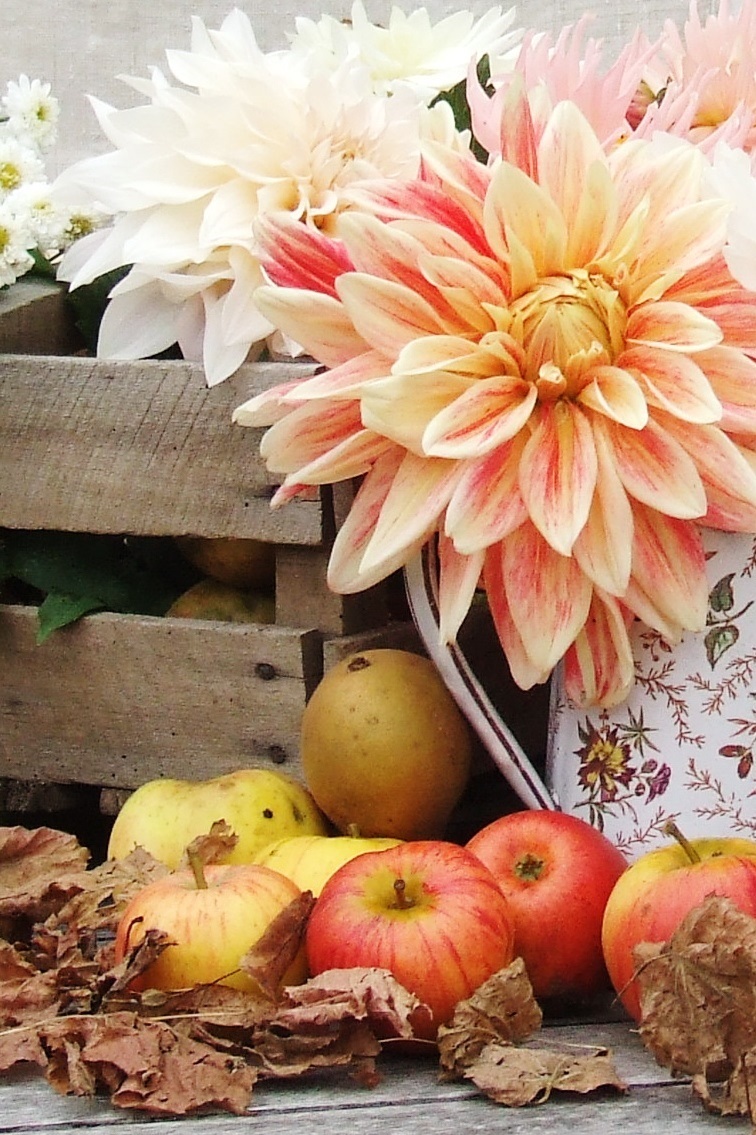 french country flowers - dahlias and apples