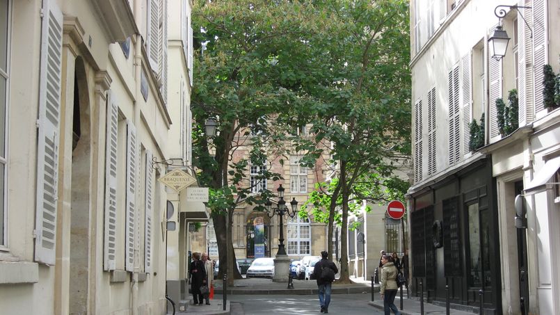 road leading from rue jacob to place fustenberg in paris