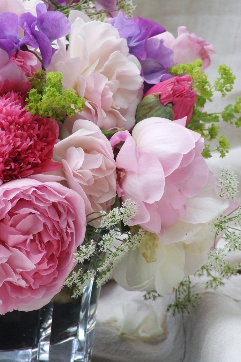 my french country flowers - roses and poppies