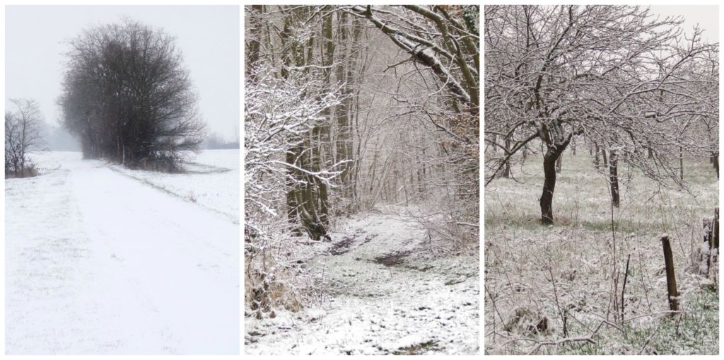 winter scenes in the countryside