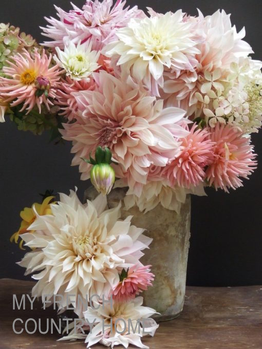 dahlias in earthenware jug