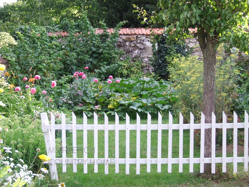 vegeatable garden with white fence