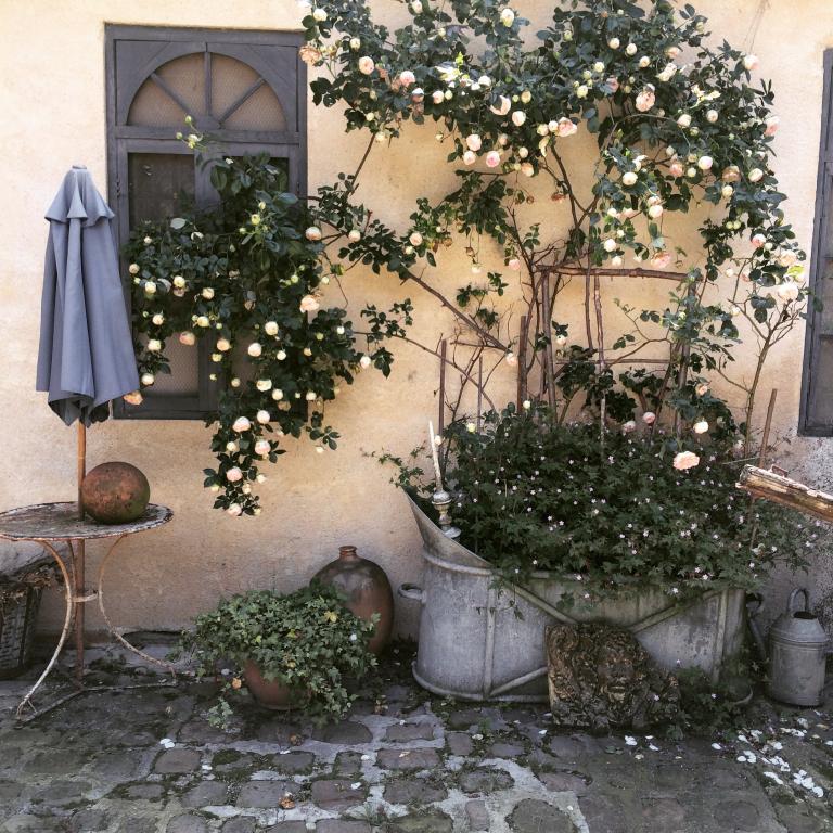 courtyard with roses, my french country home, house for sale