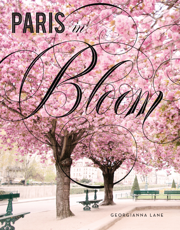 cover photo Paris in Bloom