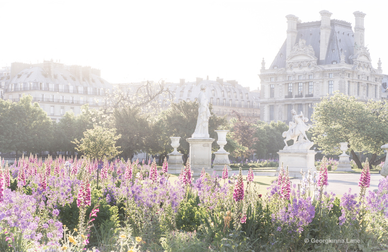 photo of Paris from Paris in Bloom