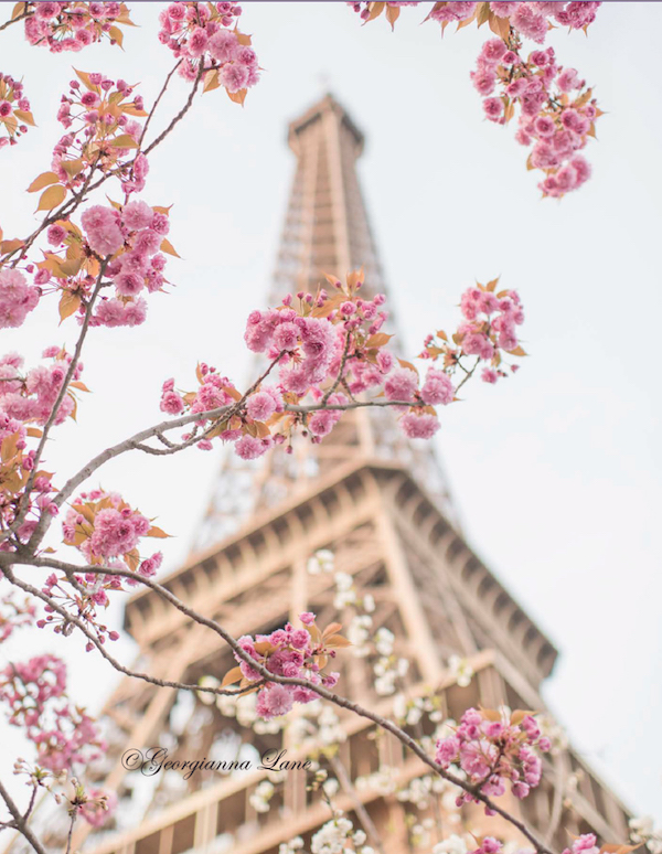 photo of Paris from Paris in Bloom