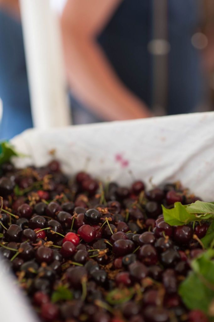 cherries at the market