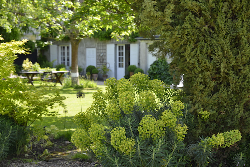 guest and house La maison et l'atelier garden detail