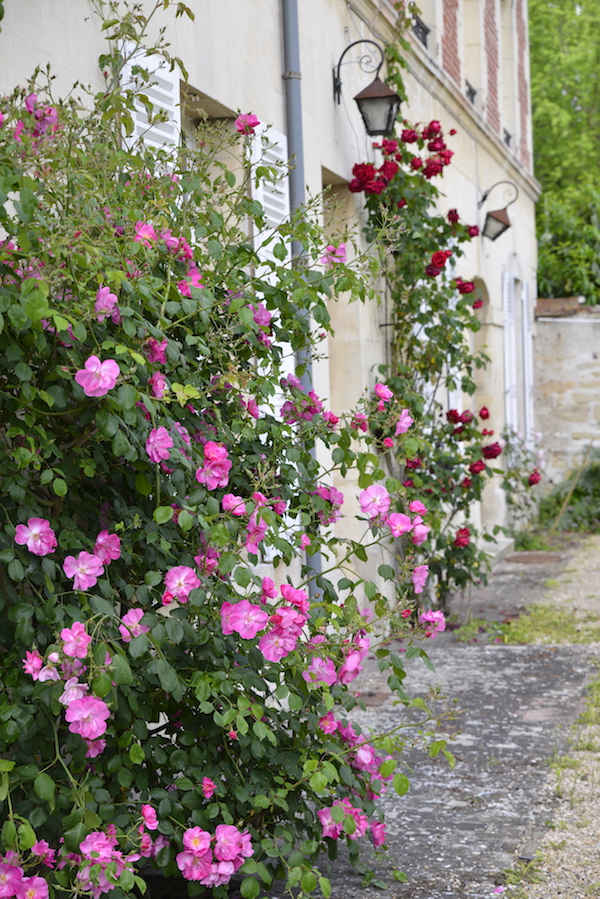 guest and house La maison et l'atelier roses in the garden