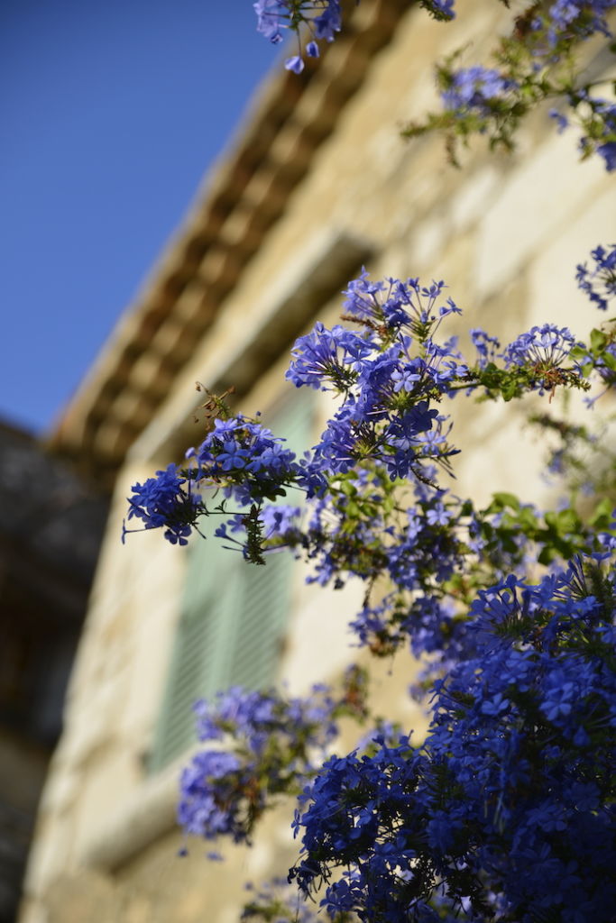 st paul de vence my french country home