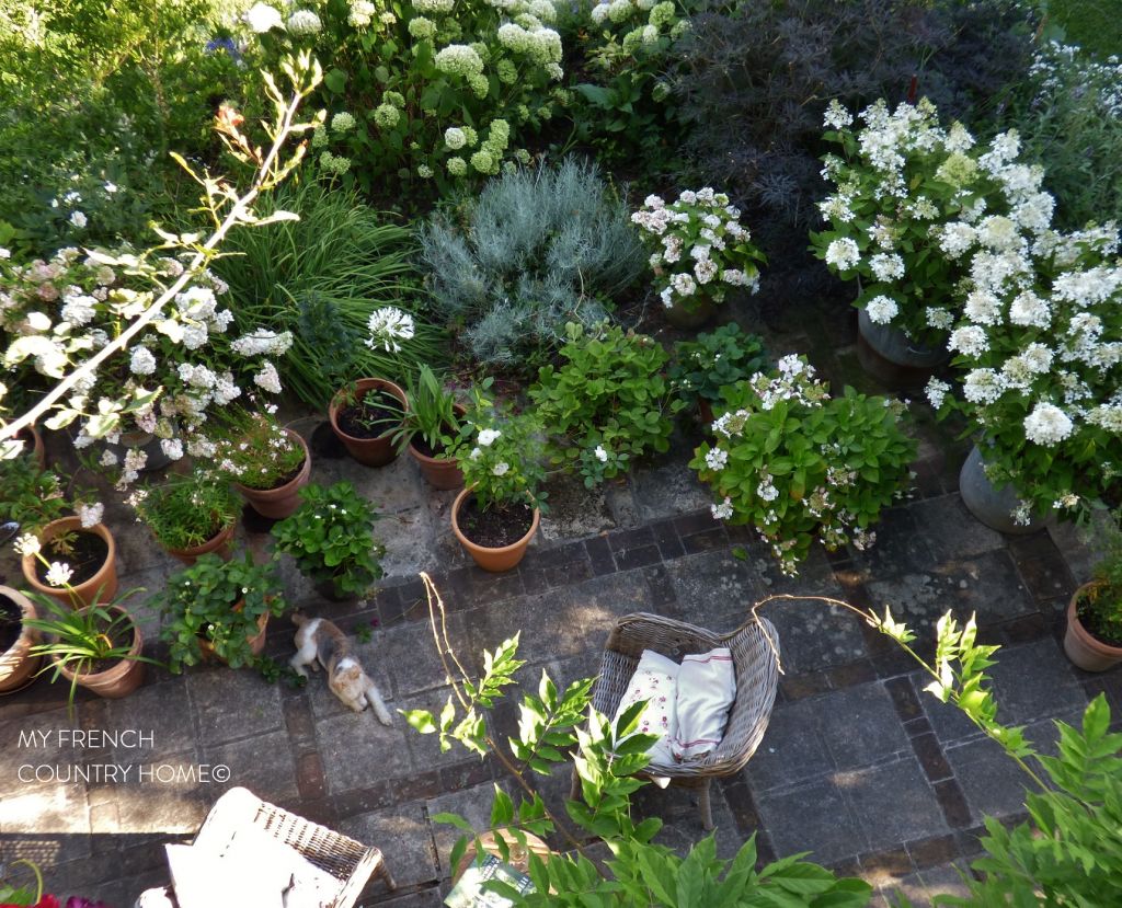 terrace with planters and chair