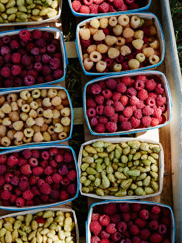 Berries, The Cook's Atelier Cookbook- MY FRENCH COUNTRY HOME