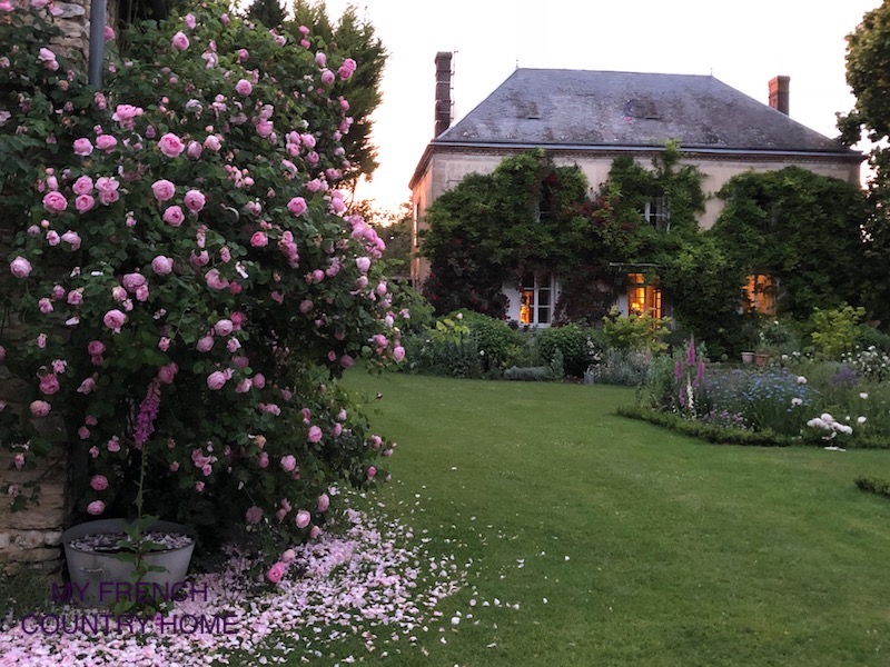 home at dusk with roses in the garden