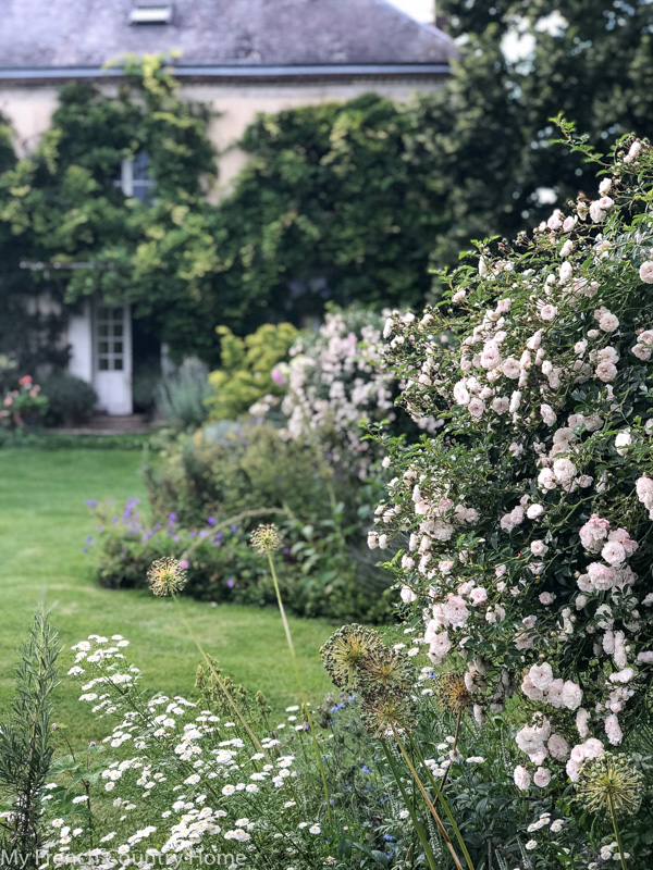 The garden- My Garden Parterres- MY FRENCH COUNTRY HOME