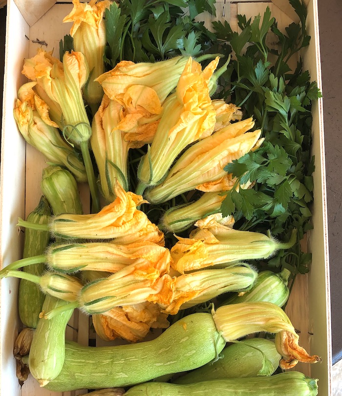 zucchini flowers and why I love them- MY FRENCH COUNTRY HOME