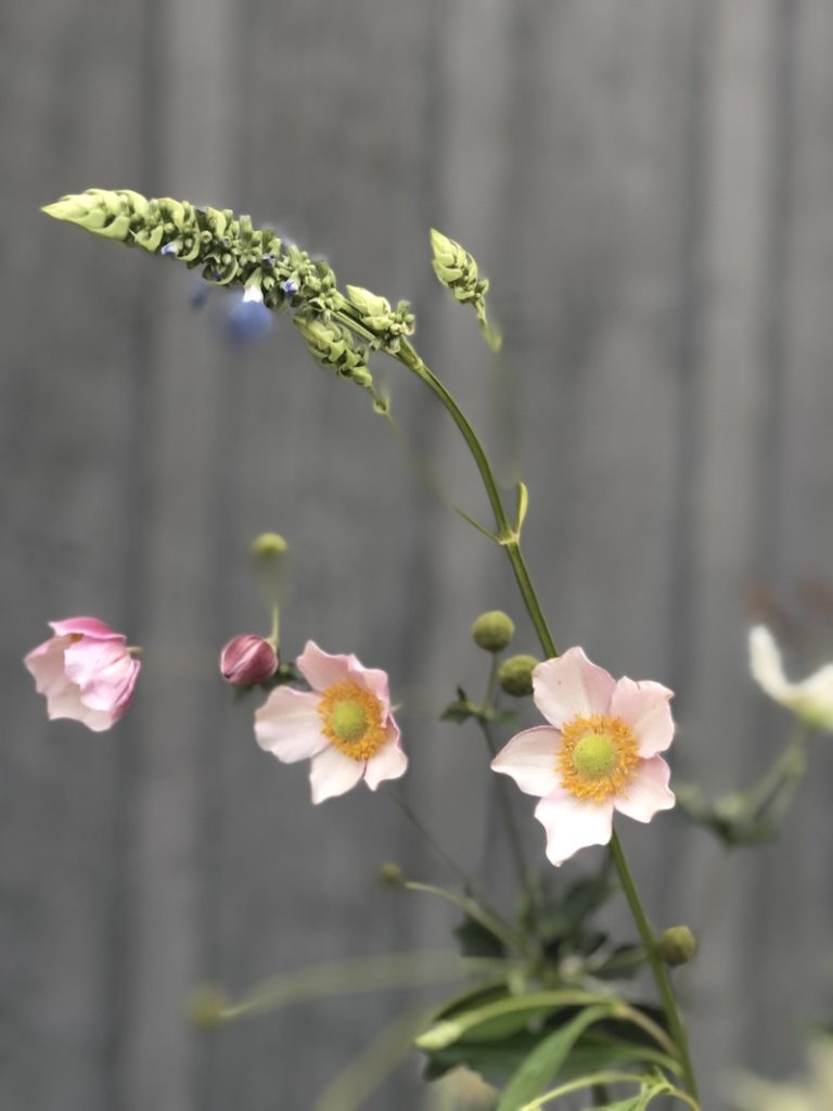 autumn flowers arranged in vase outside barn- early autumn in my garden- MY FRENCH COUNTRY HOME