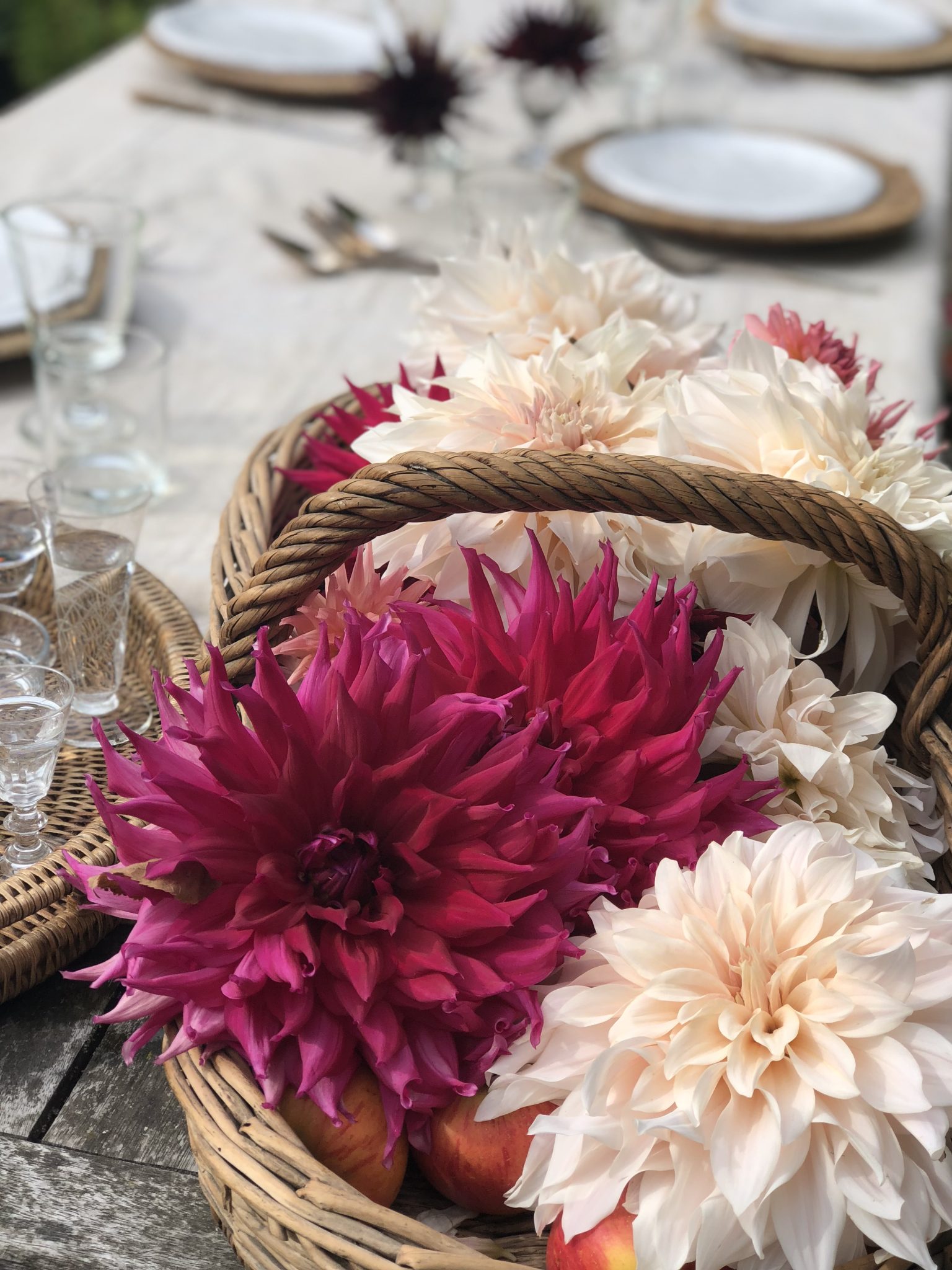 dahlias on table