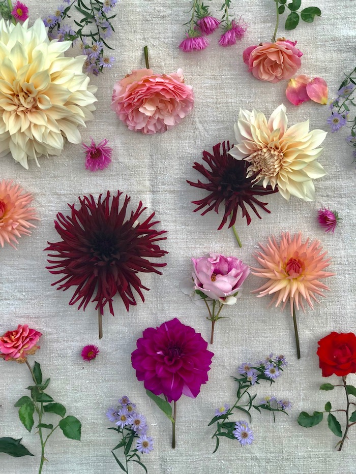 indian summer flowers- MY FRENCH COUNTRY HOME